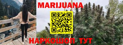стафф Пенза